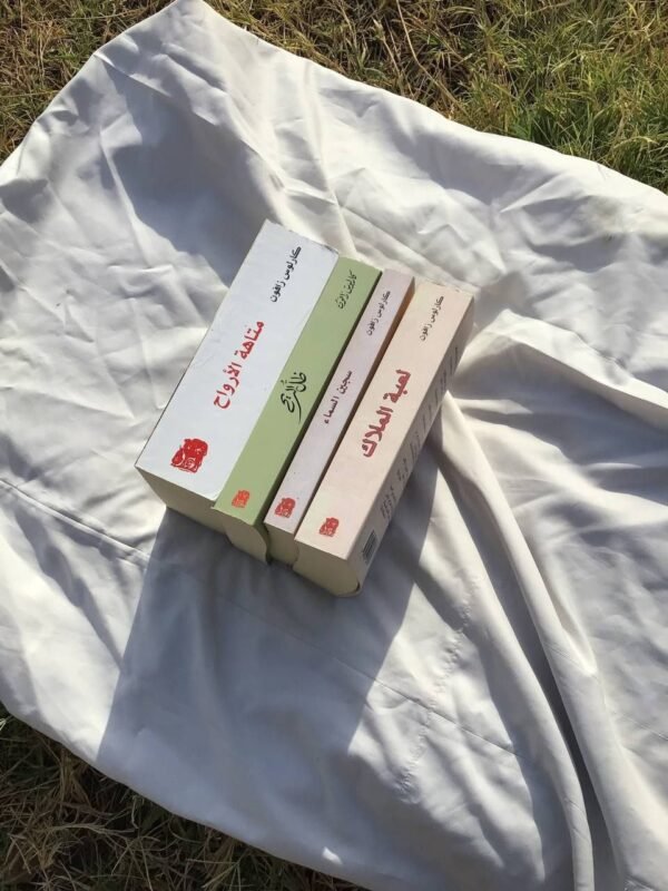 img_3424 سلسلة مقبرة الكتب المنسية