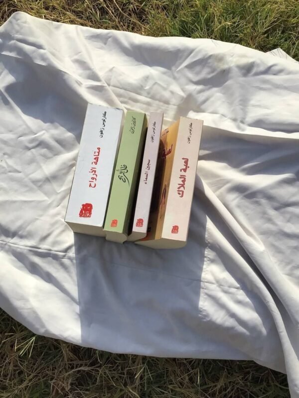 img_3427 سلسلة مقبرة الكتب المنسية