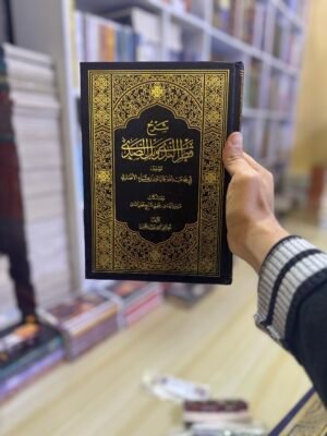 شرح قطر الندى وبل الصدى