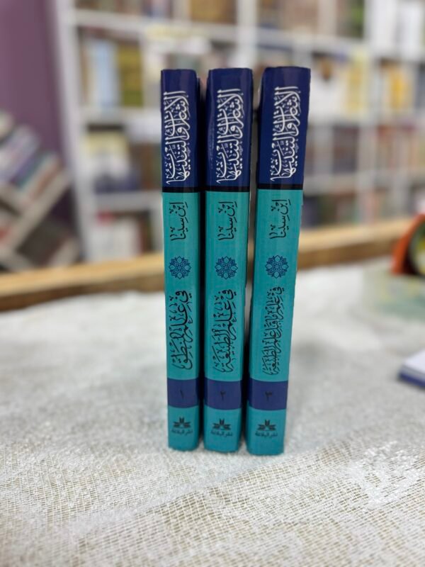 الإشارات والتنبيهات