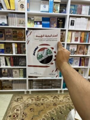 استراتيجية الهيمنة