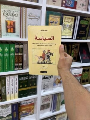 السياسة
